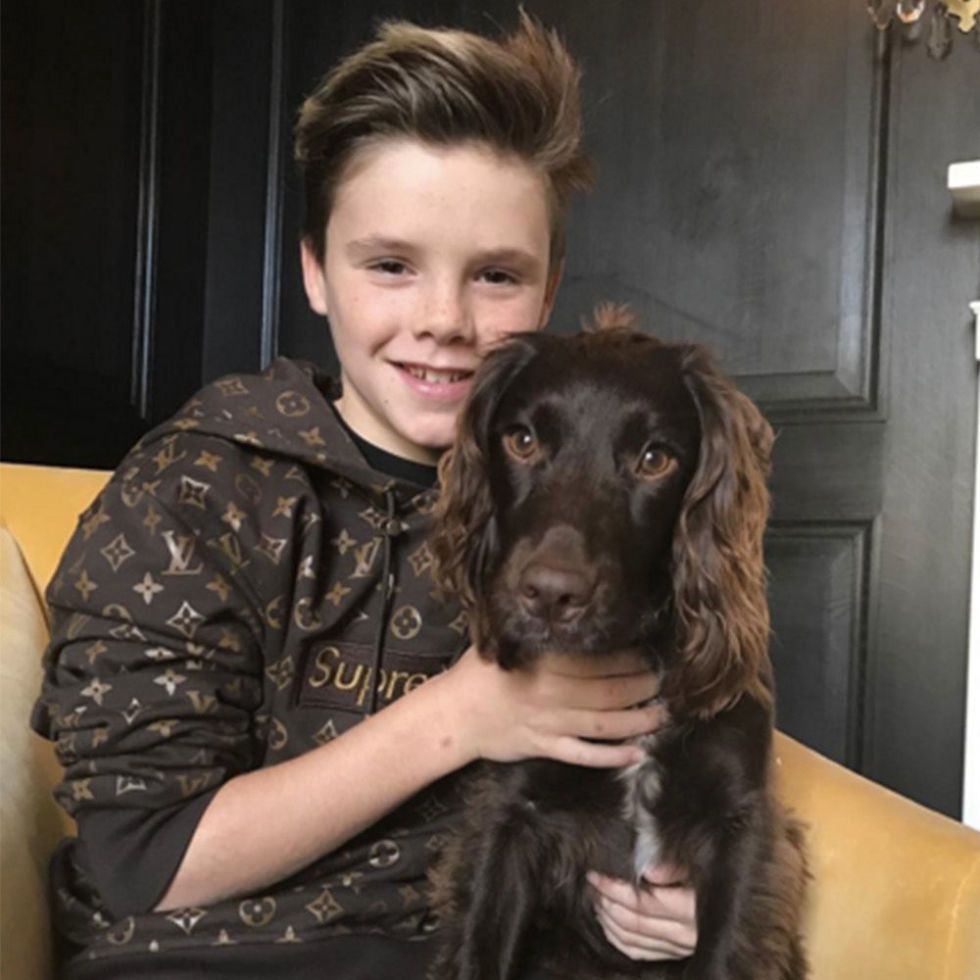 Cruz beckham hot sale supreme louis vuitton