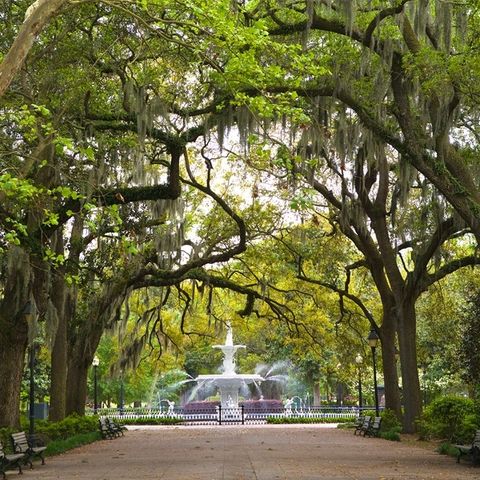 <p><strong data-redactor-tag="strong" data-verified="redactor">How much you'll save by visiting in July:</strong> 18%</p><p>A week in Savannah this summer will cost you just a little over $1,000. The walkable city offers an abundance of historic charms—<span class="redactor-invisible-space" data-verified="redactor" data-redactor-tag="span" data-redactor-class="redactor-invisible-space">stroll on its cobblestone streets or observe its majestic buildings (there are even <a href="https://architecturalsavannah.com/" target="_blank" data-tracking-id="recirc-text-link">architectural tours</a> for you design lovers). Plus, a growing beer scene offers many opportunities to <a href="http://www.savannah.com/activities/beer-scene/" target="_blank" data-tracking-id="recirc-text-link">savor a cold craft brew</a> on a hot summer day.</span></p>