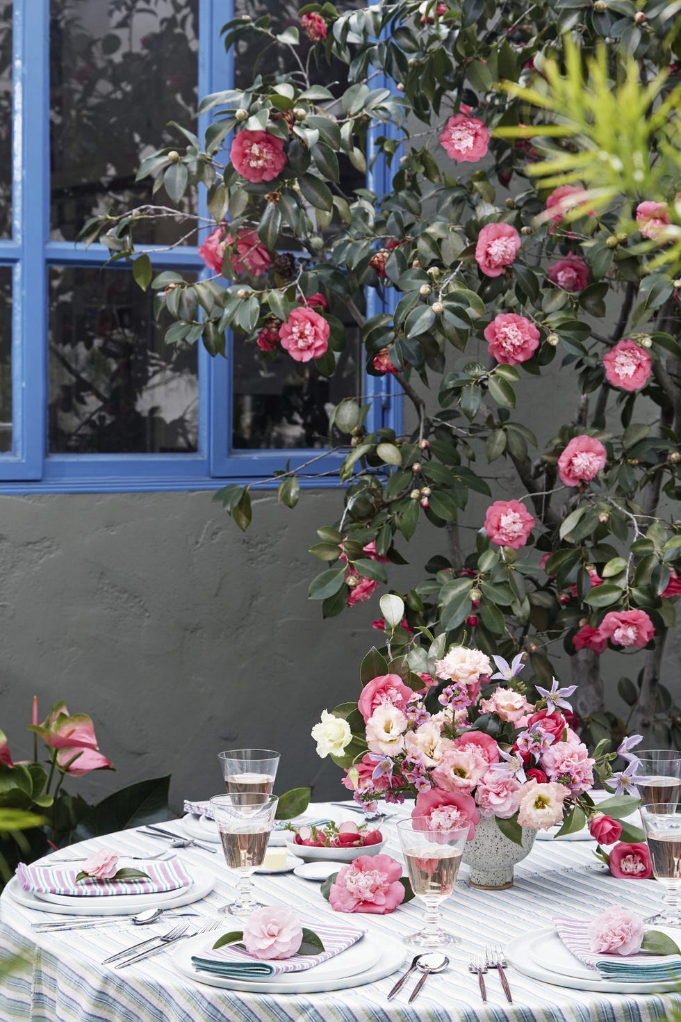 Flower, Floristry, Plant, Flower Arranging, Floral design, Pink, Cut flowers, Garden roses, Rose, Camellia, 