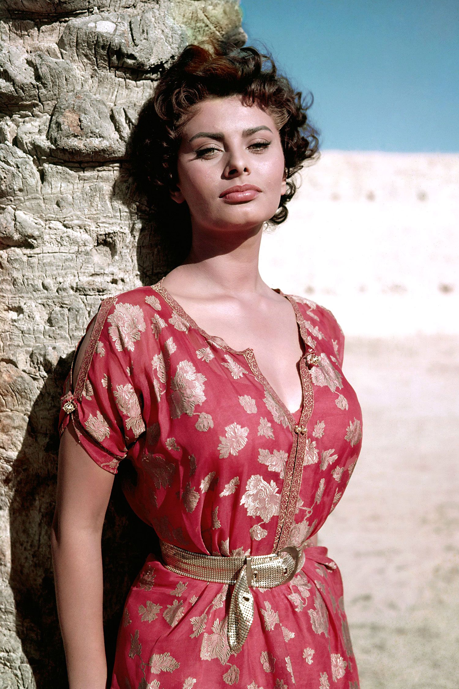 Photos Of Sophia Loren Sophia Loren In Photos