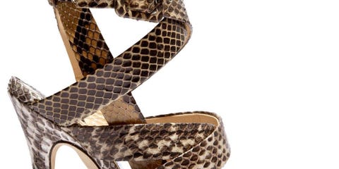 The Extras: Shop Exotic Accessories