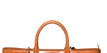 day luxe alligator bag from the row