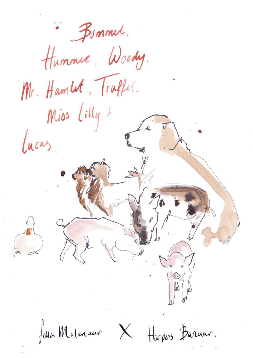 White, Carnivore, Dog, Handwriting, Dog breed, Companion dog, Illustration, Canidae, Drawing, Painting, 
