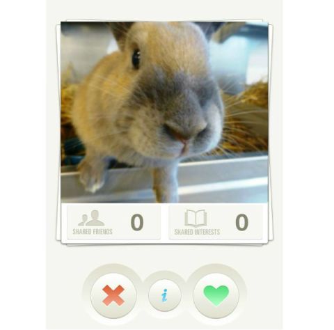 Skin, Whiskers, Portable media player, Rabbits and Hares, Rabbit, Snout, Mp3 player, Circle, Beige, Fawn, 