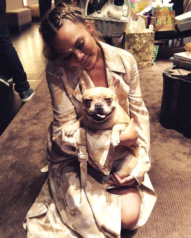 <p>Chrissy Teigen's dog Pippa makes regular appearances on her Instagram and Snapchat accounts.</p>