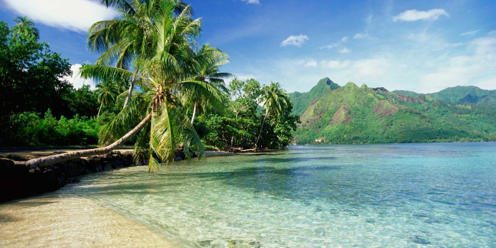 <p>Ze spendeerden hun huwelijksreis op Tahiti in Frans-Polynesië.</p>