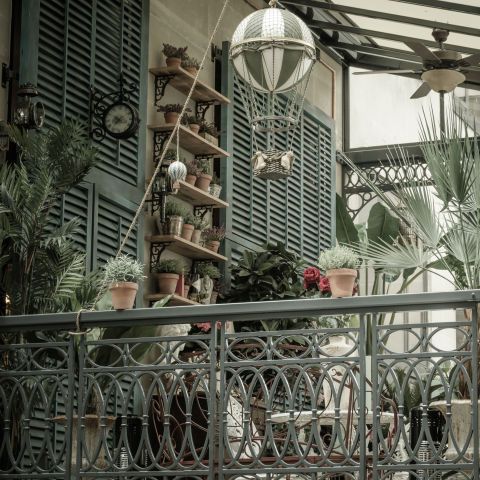 <p>Het terras van Mr Fogg's, een bar geïnspireerd op Jules Verne's welbekende boek <em>Around The World In Eighty Days</em>, is een waar feest voor het oog. Het terras, met Victoriaanse invloeden, is precies hoe je verwacht dat een tuin van een reiziger eruit ziet: een samenspel van exotische planten in terracotta potten en marmeren tuinmeubilair. En ook de cocktails zijn voorzien van een exotisch tintje, denk: gin-tonics met lavendel, jasmijn en komkommer.<br></p><p><em>Mr Fogg's, 15 Bruton Street, London W1 (<a href="https://mr-foggs.com/" target="_blank"><u>mr-foggs.com</u></a>)</em><span class="redactor-invisible-space"><em>.</em></span></p>