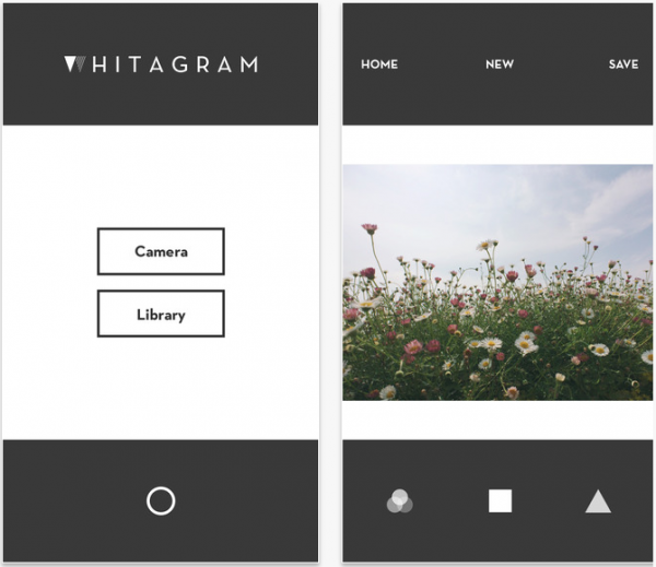Text, Screenshot, Font, Plant, Wildflower, Brand, Logo, 