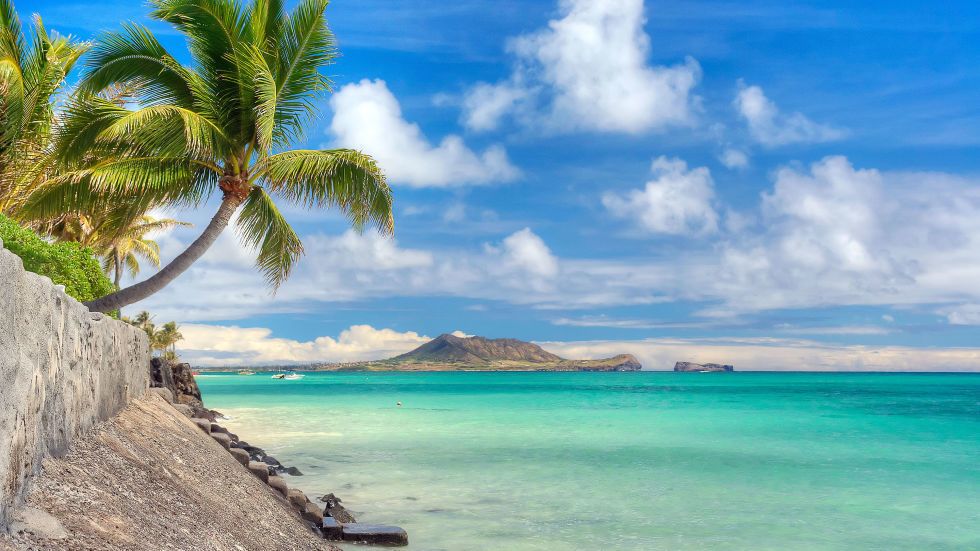 <p>Hawaii is de surfbestemming der surfbestemmingen, maar de wateren van Lanikai Beach op Oahu zijn zo kalm dat je 'm met twee vingers in de neus kunt bekajakken, tot aan Mokuluas, twee rotsige eilandjes aan de horizon. </p>
