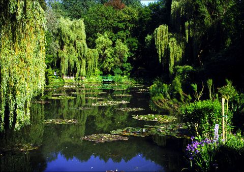 <p>Claude Monet creëerde zijn meest iconische werken in de tuin van <a href="http://giverny.org/gardens/fcm/visitgb.htm">het huis dat hij huurde in Giverny</a>, een Frans dorp 80 kilometer ten noorden van Parijs. Je kunt er zelfs over de beroemde Japanse loopbrug - die Monet maar liefst <a href="http://www.metmuseum.org/art/collection/search/437127">18 keer naschilderde in 1899</a> - lopen. Jezelf in één van zijn kunstwerken wanen doe je dus hier.</p>