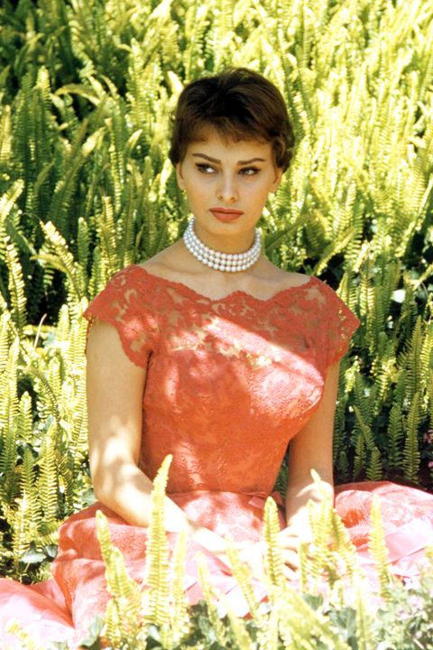 Sophia Lorens Iconische Stijl In 40 Fotos