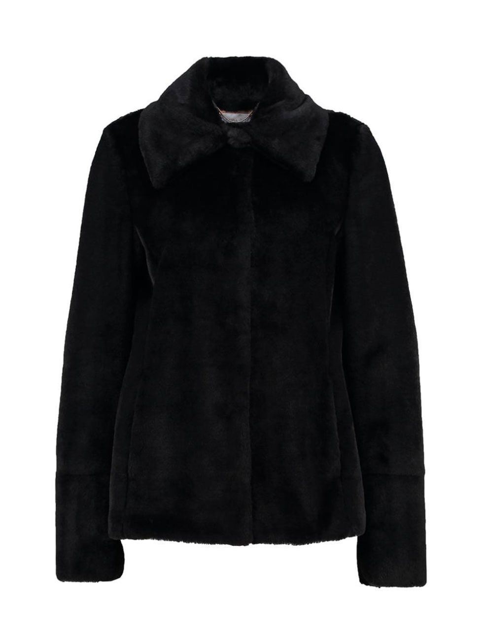 Clothing, Sleeve, Collar, Coat, Textile, Outerwear, Jacket, Fashion, Black, Natural material, 