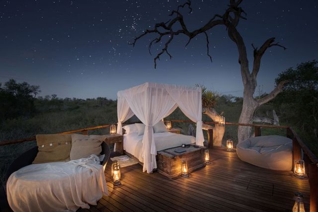 Camp, Property, Lighting, Tent, House, Sky, Tree, Bed, Home, Night, 