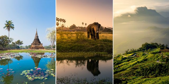 Body of water, Nature, Vegetation, Elephant, Natural landscape, Plant, Water resources, Elephants and Mammoths, Landscape, Reflection, 