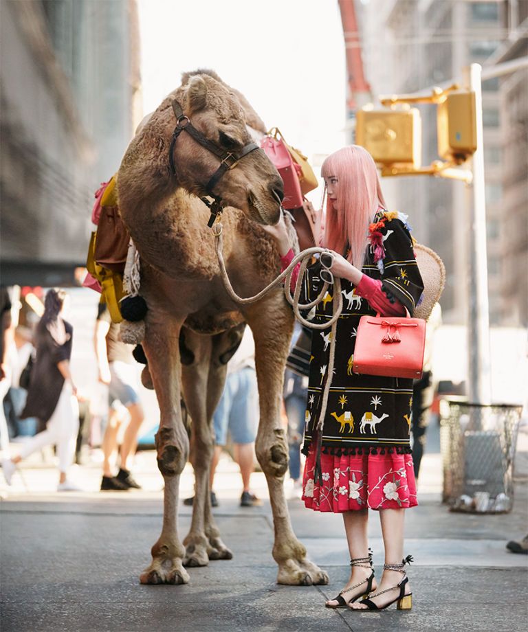 Human, Camel, Working animal, Vertebrate, Halter, Camelid, Interaction, Temple, Arabian camel, Pack animal, 