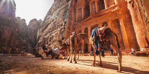 Camel, Pack animal, Working animal, Camelid, Adaptation, Arabian camel, Ancient history, Indian elephant, Tourism, Landscape, 