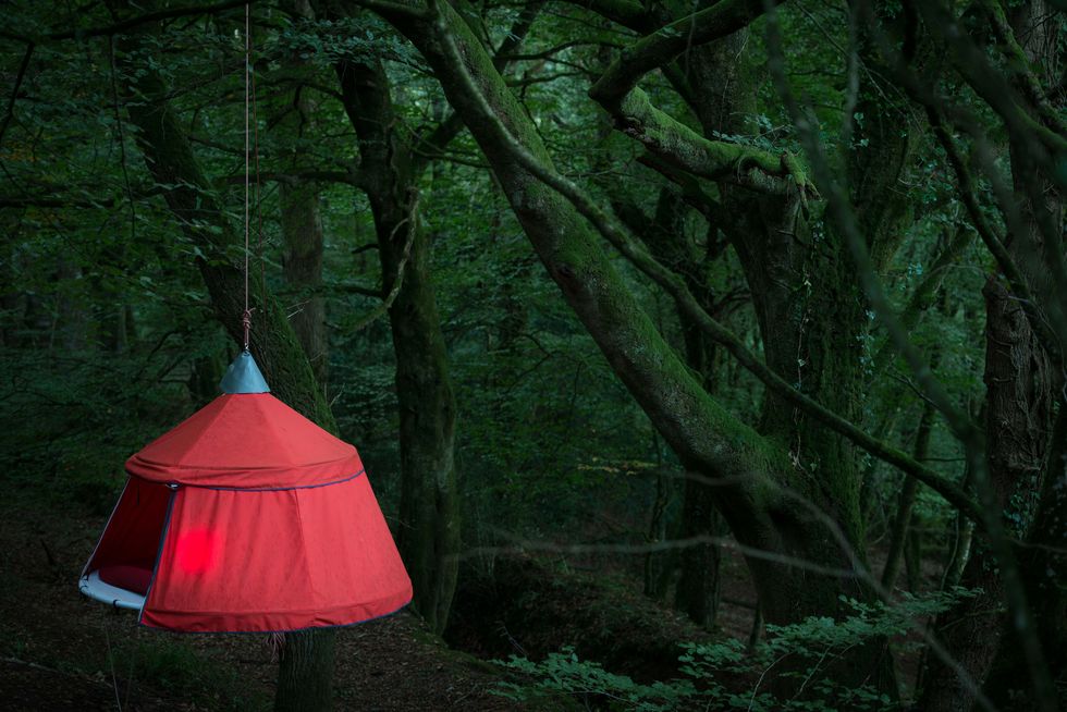 Green, Natural environment, Tree, Forest, Light, Woodland, Lighting, Tent, Biome, Leaf, 