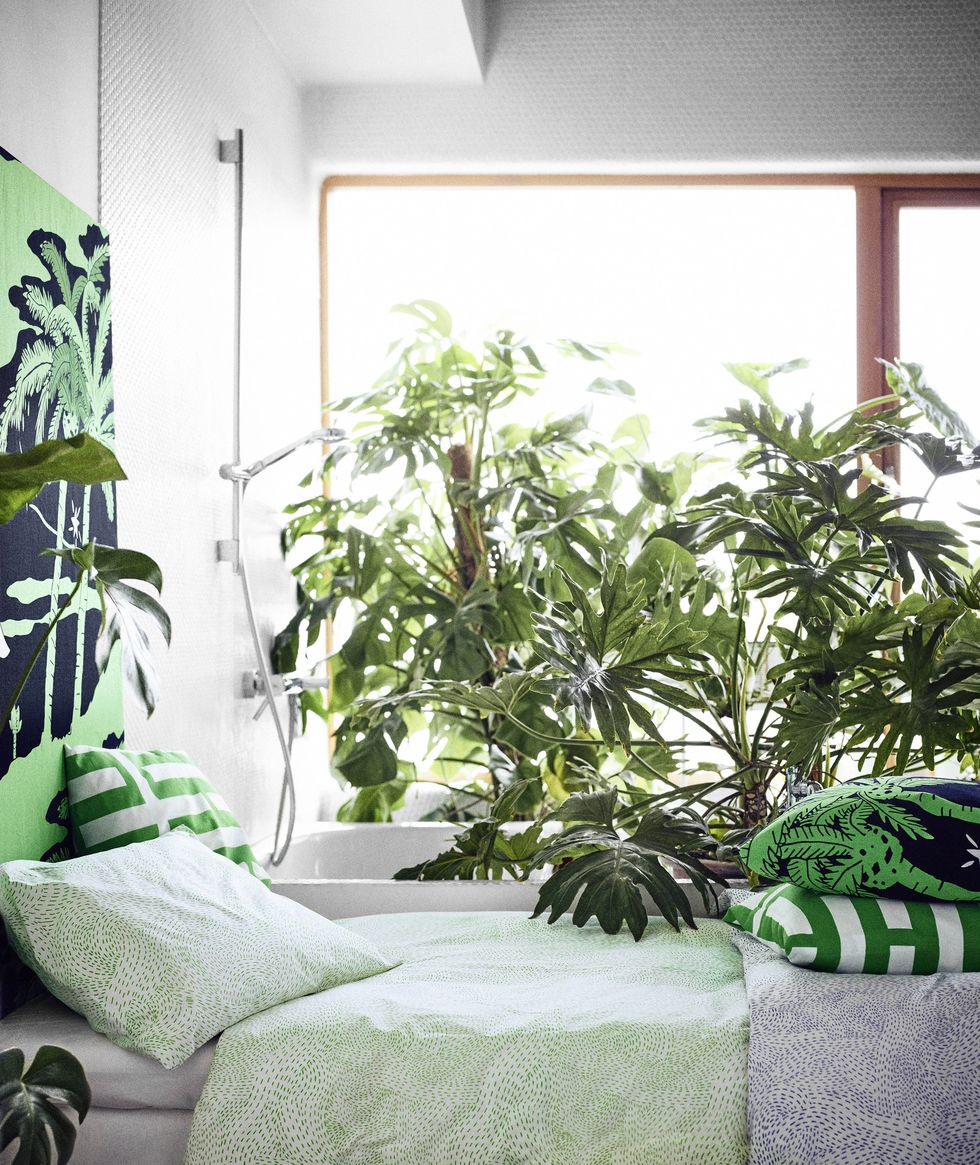 Green, White, Room, Houseplant, Plant, Interior design, Leaf, House, Home, Tree, 