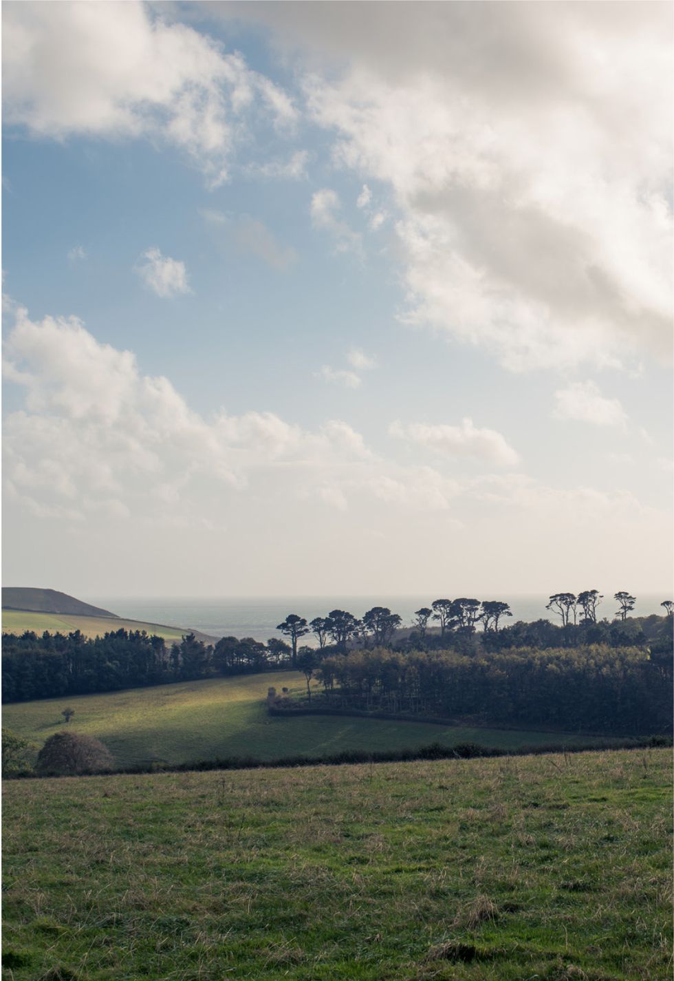 Sky, Cloud, Natural landscape, Green, Horizon, Natural environment, Grassland, Tree, Daytime, Atmospheric phenomenon, 