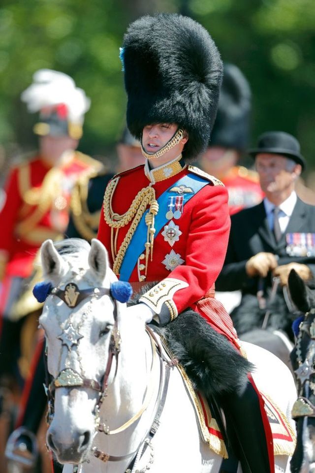 Horse, Bridle, Bearskin, Uniform, Grenadier, Rein, Marching band, Recreation, Competition event, Horse tack, 