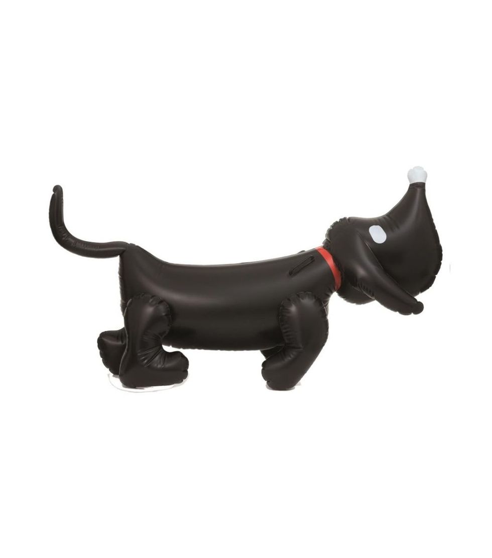 Dachshund, Auto part, Canidae, Carnivore, Animal figure, Puppy, 