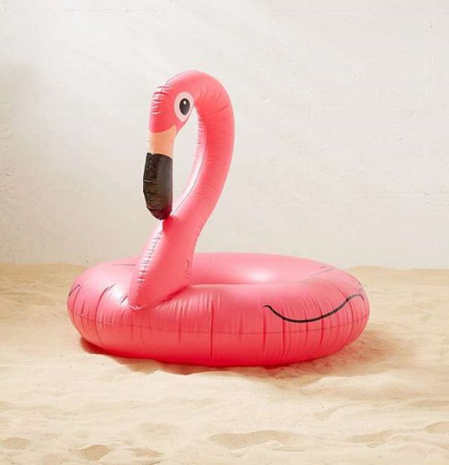 Pink, Greater flamingo, Flamingo, Bird, Water bird, Neck, Recreation, Inflatable, Games, 