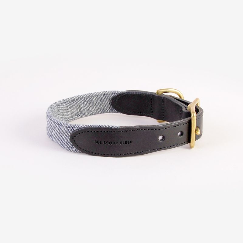 Collar, Dog collar, Belt, Buckle, Fashion accessory, Belt buckle, Strap, Leash, Leather, Beige, 