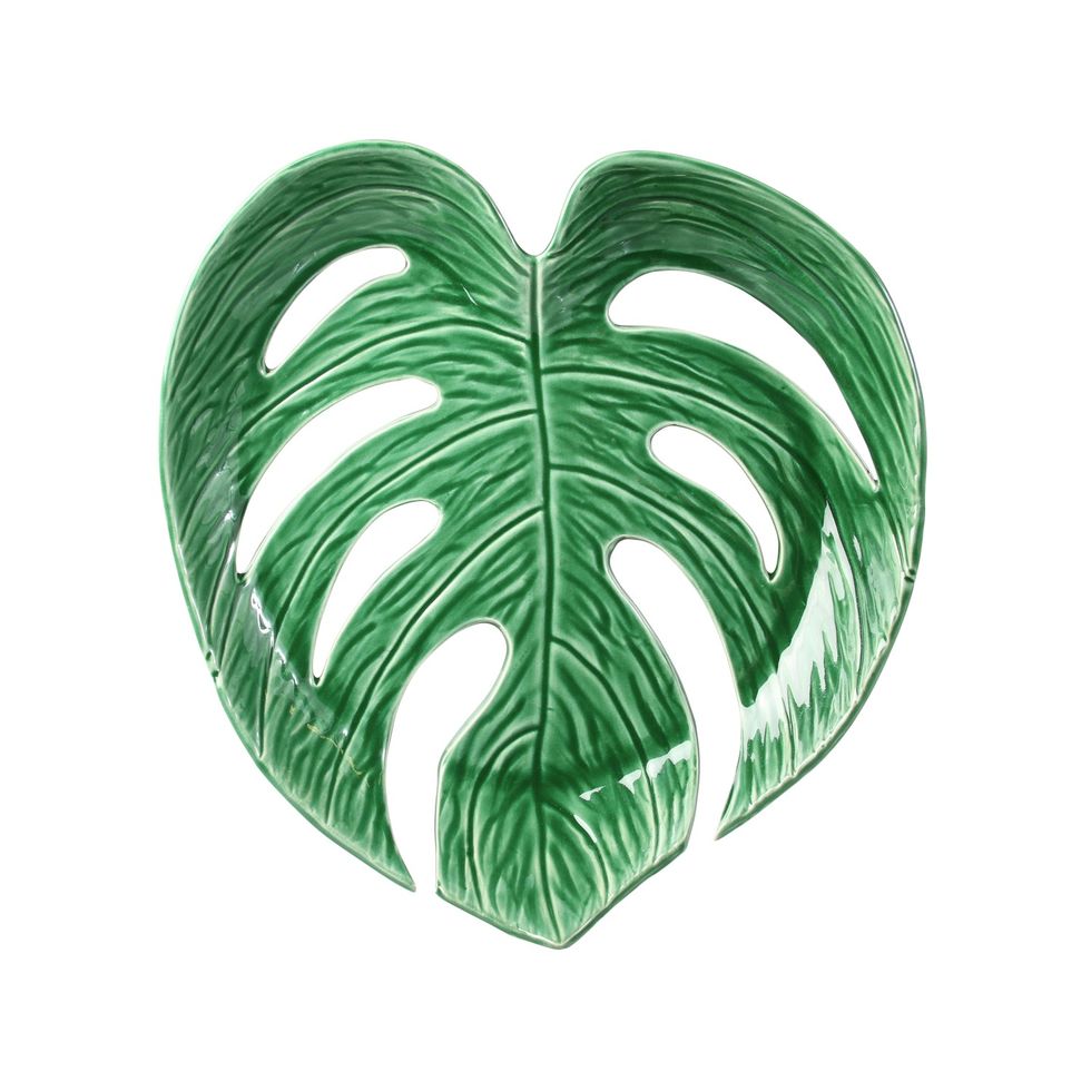 Green, Leaf, Botany, Heart, Plant, Symbol, 