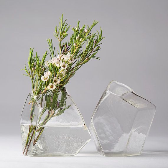 Vase, Flower, Plant, Flowerpot, Cut flowers, Glass, Still life photography, Still life, Plant stem, Twig, 