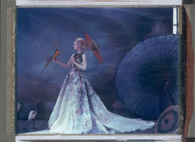 Wing, Art, Fictional character, Hand fan, Victorian fashion, Costume design, Decorative fan, Bird, Gown, Painting, 