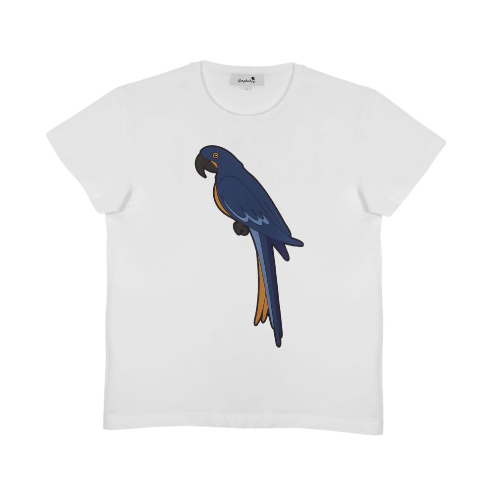 Sleeve, Bird, Beak, Feather, Neck, Wing, Electric blue, Cobalt blue, Active shirt, Perching bird, 