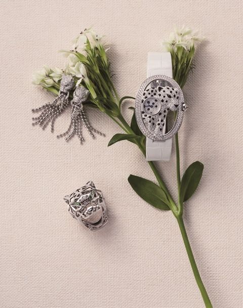 Botany, Petal, Flowering plant, Creative arts, Silver, Cut flowers, Natural material, Artificial flower, Still life photography, Bouquet, 