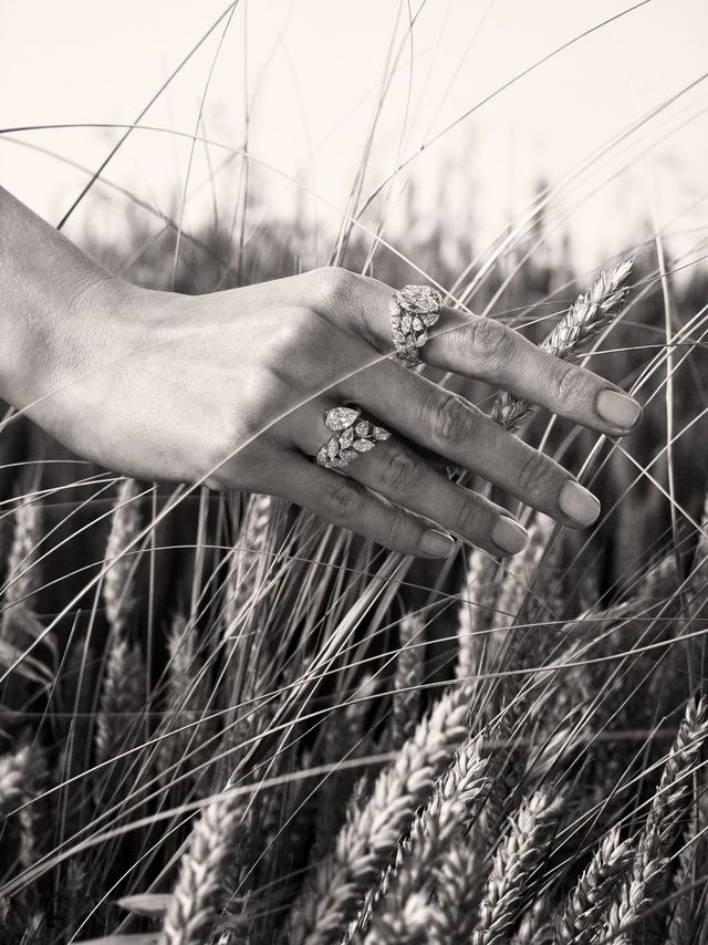 Finger, Monochrome, Monochrome photography, Grass family, Twig, Black-and-white, Stock photography, Natural material, 