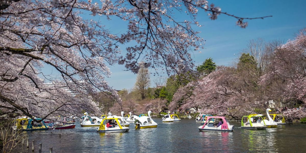 連日本人都愛去的東京近郊推薦吉祥寺 三鷹10 個必去的人氣觀光景點