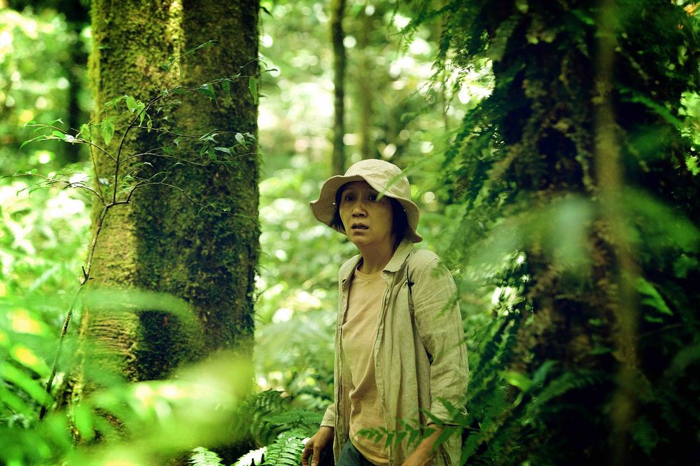 Human, Natural environment, Green, Hat, People in nature, Forest, Sun hat, Terrestrial plant, Sunlight, Old-growth forest, 