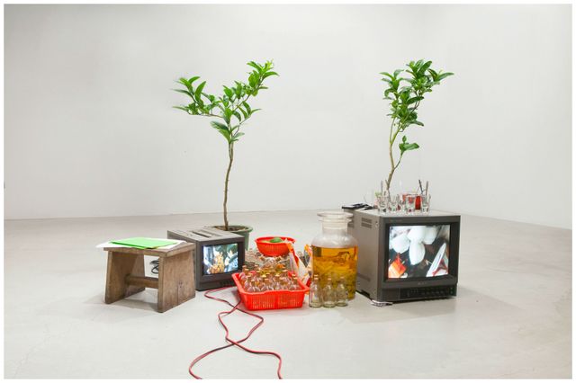 Leaf, Flowerpot, Interior design, Display device, Houseplant, Plant stem, Vase, Herb, Annual plant, Wire, 