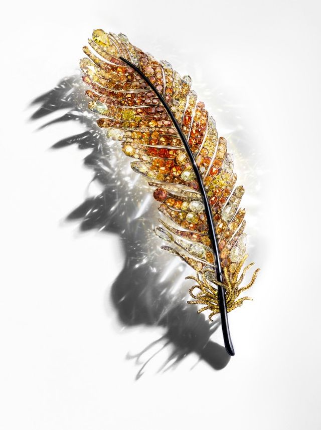 Branch, Leaf, Twig, Amber, Botany, Feather, Colorfulness, Terrestrial plant, Natural material, Macro photography, 