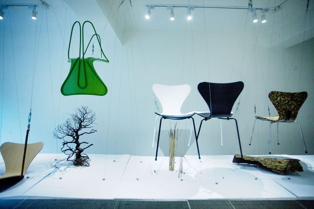 Green, Interior design, Chair, Interior design, Design, Still life photography, Natural material, 