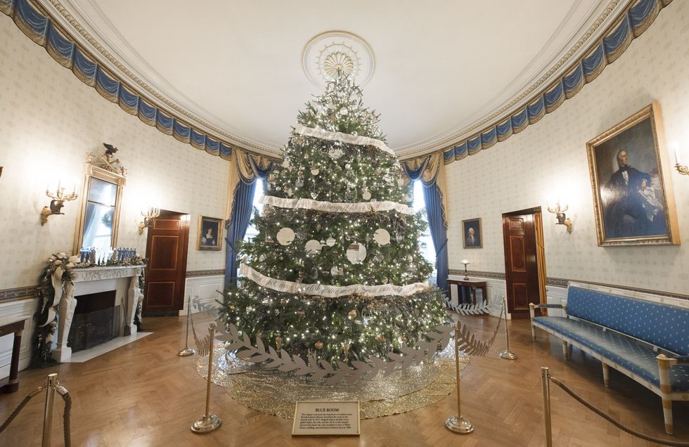 <p>最重要的「主視覺」——白宮之樹被放置於藍廳中，這棵高19英尺的花旗杉被大量的銀色與金色包圍著，與充滿法國王室風格的藍廳相映成輝，而擺在它面前的正是美國憲法的序章。</p>
