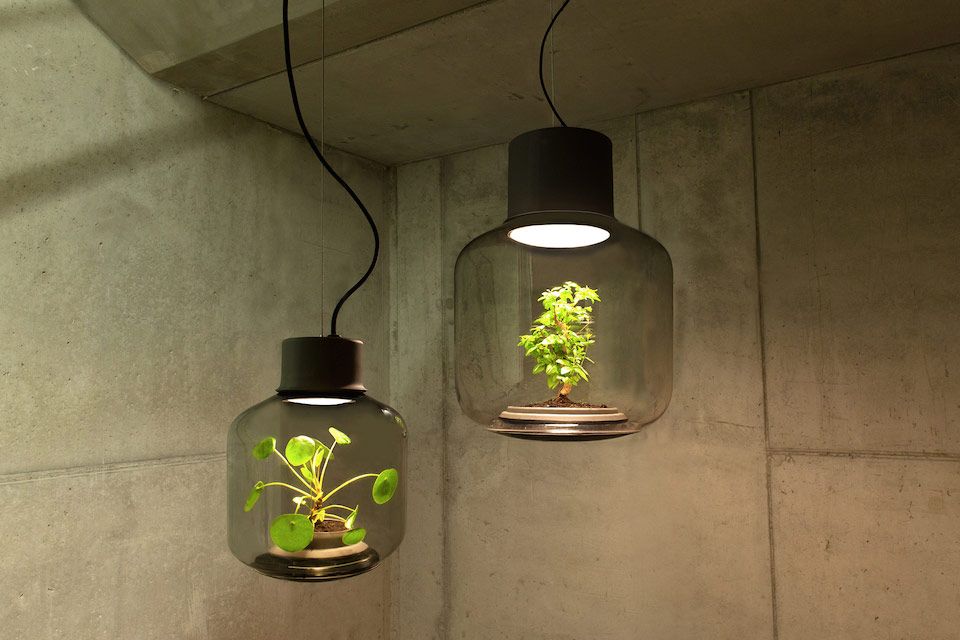 Green, Lighting, Wall, Ceiling, Light fixture, Light, Tints and shades, Lighting accessory, Electricity, Interior design, 