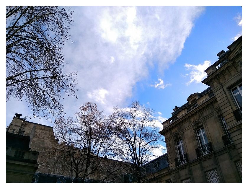 Sky, Cloud, Daytime, Photograph, Blue, Tree, Architecture, Snapshot, Branch, Sunlight, 