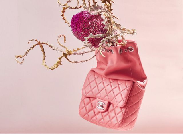 Pink, Bag, Fashion accessory, Magenta, Plant, Illustration, Handbag, 