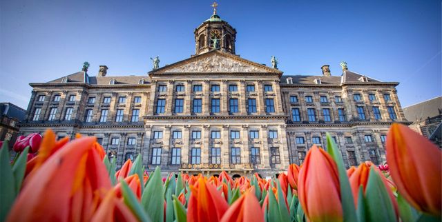 Landmark, Architecture, Flower, Building, Tulip, Town, Spring, Plant, Facade, Palace, 