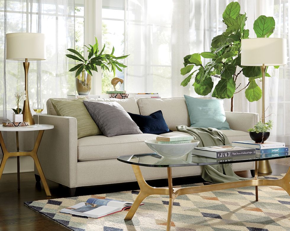 Living room, Furniture, Room, Interior design, Green, Coffee table, Table, Property, Houseplant, Floor, 