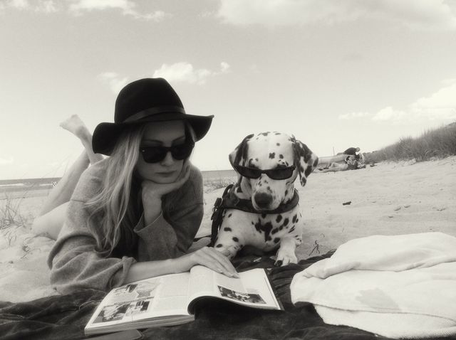 White, Dog, Canidae, Black-and-white, Dalmatian, Eyewear, Photography, Sun hat, Cool, Headgear, 