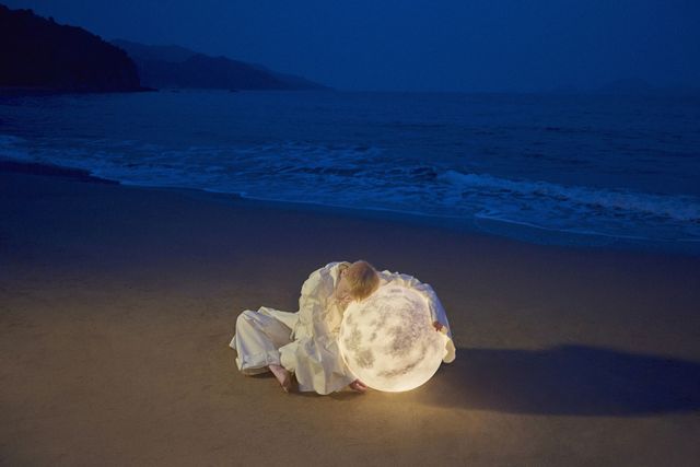 Shell, Sea, Sky, Blue, Conch, Ocean, Light, Natural environment, Jellyfish, Beach, 