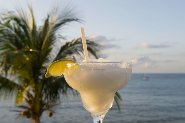 Drink, Alcoholic beverage, Vacation, Cocktail, Distilled beverage, Caribbean, Tropics, Margarita, Paradise, Palm tree, 