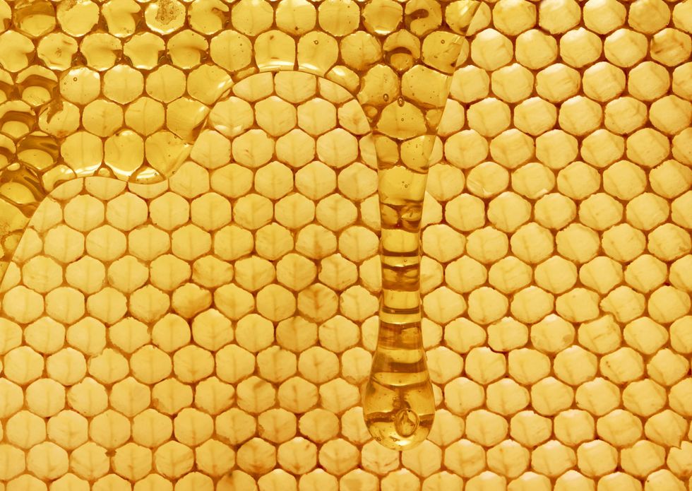 <p>人們自古以來就發現食用蜂蜜，對健康有很大的幫助。埃及豔后更是將蜂蜜與牛奶混合，作為保濕面膜使用。隨著科技進步，除了廣為人知的蜂蜜，能加強肌膚保濕之外，科學家再發現蜂巢中的美容秘密，蜜蜂用於消毒並修補蜂巢的蜂膠，具有天然淨化及修復功能；而女王皇蜂的唯一食物：蜂王乳則有緊緻肌膚功效。<span class="redactor-invisible-space" data-verified="redactor" data-redactor-tag="span" data-redactor-class="redactor-invisible-space"></span></p>