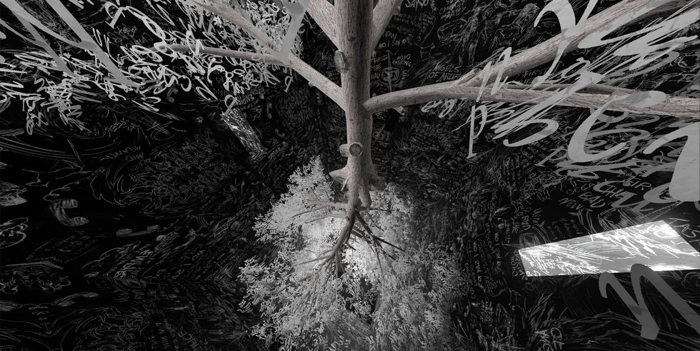 Tree, Black, Water, Black-and-white, Branch, Monochrome photography, Monochrome, Leaf, Woody plant, Trunk, 