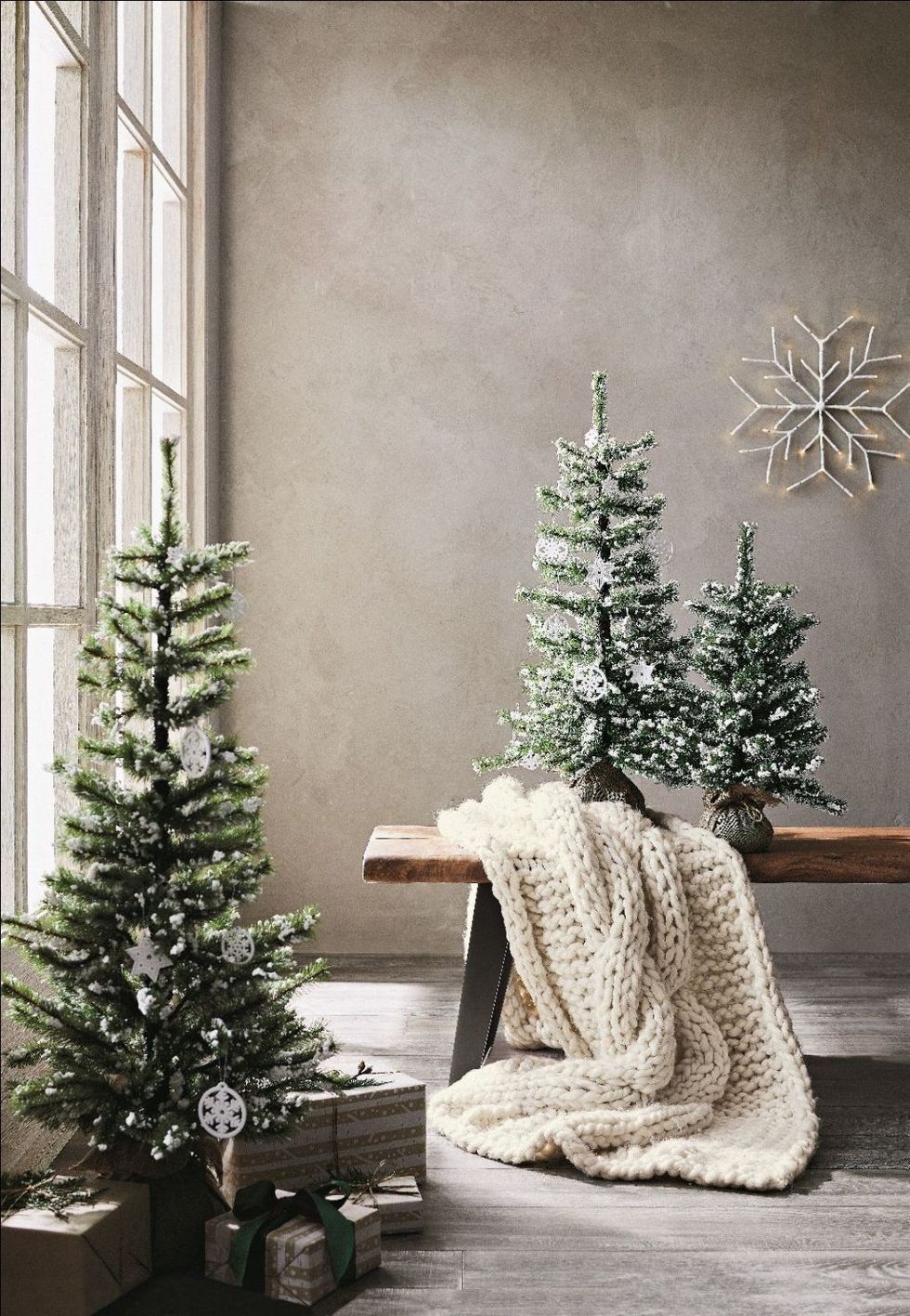 Christmas tree, Tree, Branch, Christmas decoration, Room, Houseplant, Wall, Twig, Plant, Woody plant, 